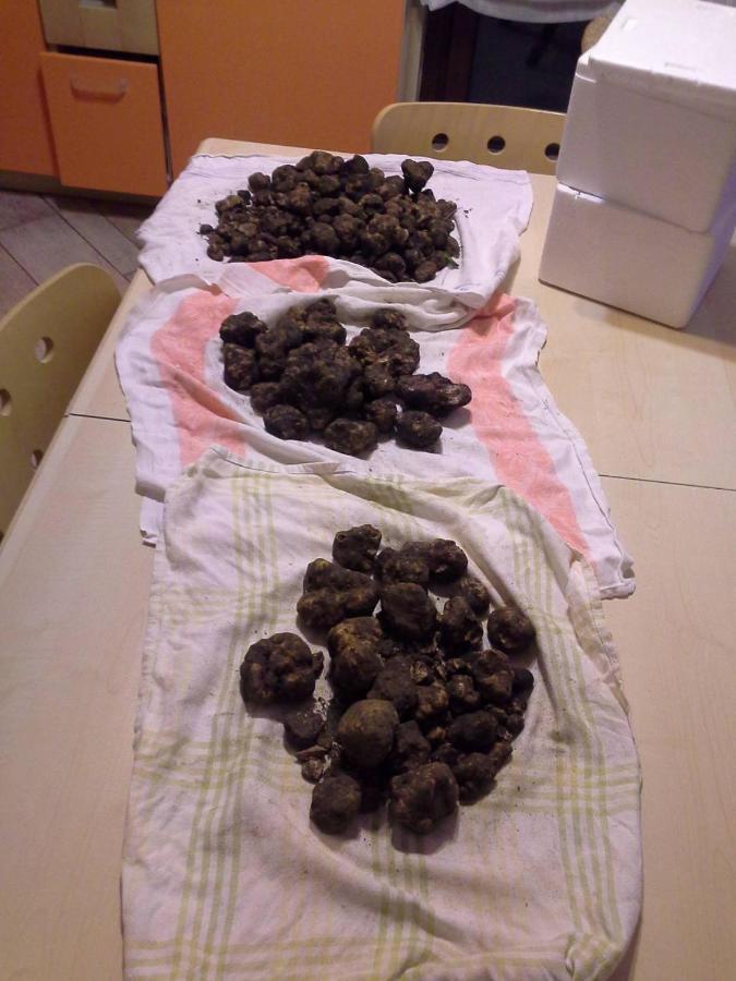 CastelmauroCa' Del Tartufaio别墅 外观 照片