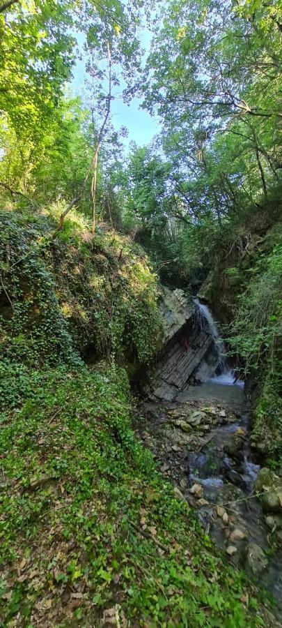 CastelmauroCa' Del Tartufaio别墅 外观 照片